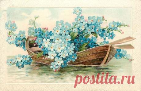 Винтажные открытки. Незабудки
