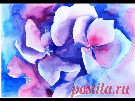 Акварель для начинающих, гортензии быстрая зарисовка