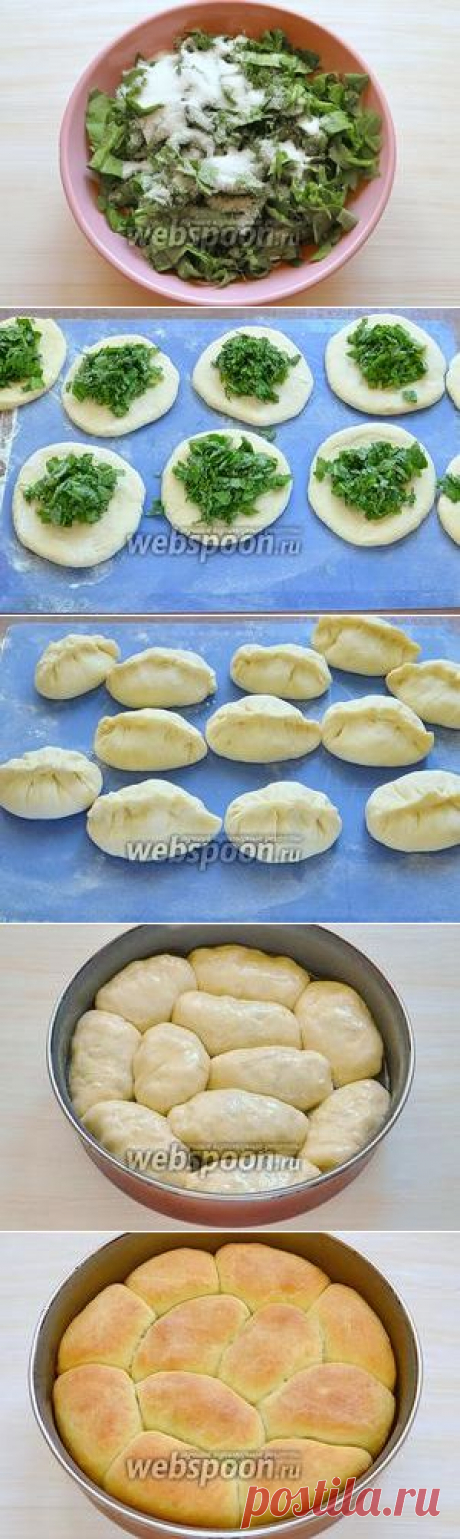 Пирог с щавелем «Дружная семейка»