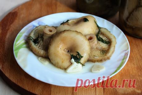 Мои грибочки съедаются в один присест. Рецепт подсказала свекровь, теперь так готовлю много лет | ОЛЯ ГОТОВИТ | Яндекс Дзен