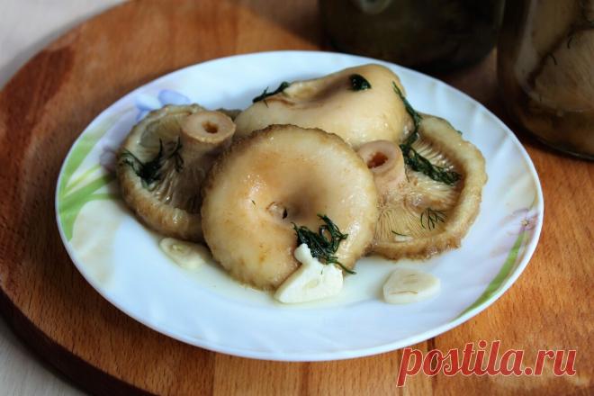 Мои грибочки съедаются в один присест. Рецепт подсказала свекровь, теперь так готовлю много лет | ОЛЯ ГОТОВИТ | Яндекс Дзен