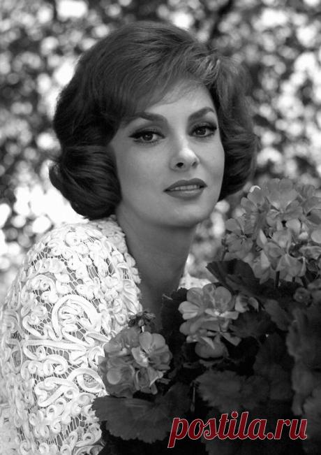 Gina Lollobrigida