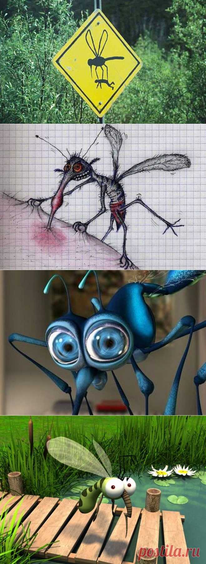 Почему комары кусают некоторых людей больше других?