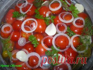 Рецепт быстрых маринованных помидор .