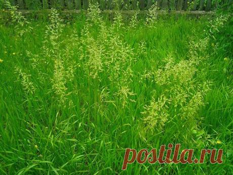 %D0%A4%D0%BE%D1%82%D0%BE1967.jpg (737×553)