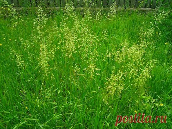 %D0%A4%D0%BE%D1%82%D0%BE1967.jpg (737×553)