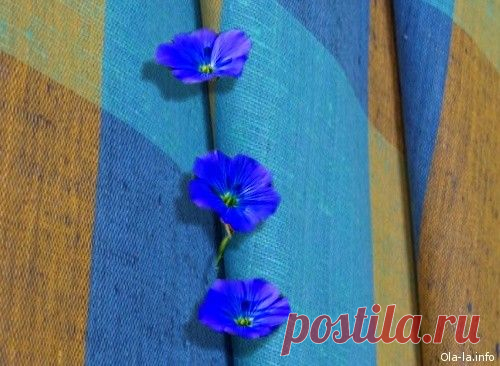 Целебные свойства льняных тканей. | Советы Народной Мудрости