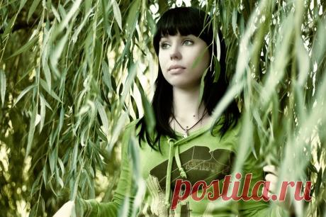 Плейкаст «___Горько Плакала Ива___»