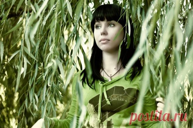 Плейкаст «___Горько Плакала Ива___»