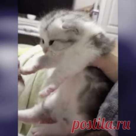 Отдай мою детку