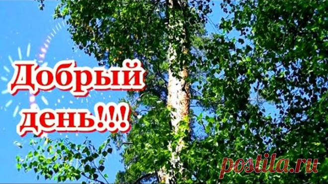 КРАСИВЫЕ ПЕСНИ ОБО ВСЁМ...