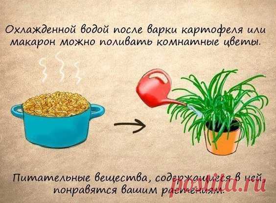 14 домашних хитростей. Такое знает не каждая хозяйка