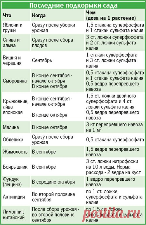 (200) Pinterest