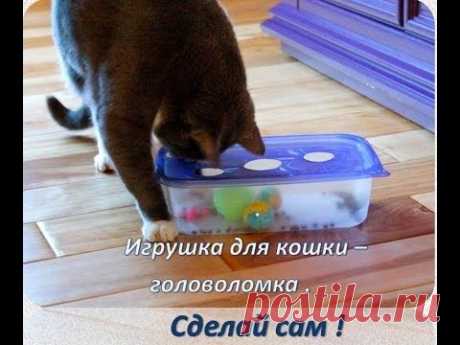 Интерактивная ИГРУШКА для КОШЕК из ПИЩЕВОГО КОНТЕЙНЕРА за ПОЛЧАСА / toy for cats with their own hands