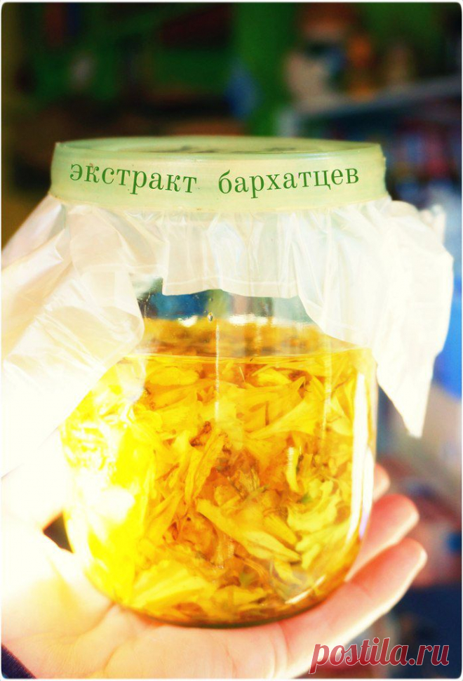 Готовится экстракт бархатцев