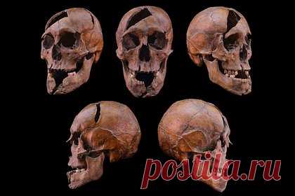 Раскрыта 700-летняя загадка о судьбе молодого аристократа