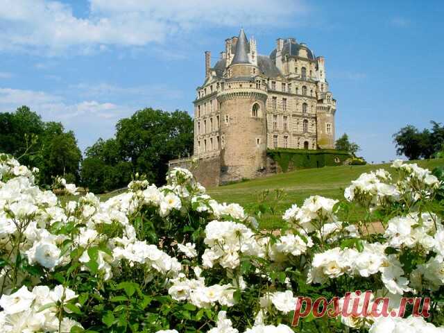 Лучшие замки Луары

Замок Бриссак (Château de Brissac)
Маршал де Бриссак, хорошо известный читателям «Трех мушкетеров», восстановил этот замок после сильного разрушения в 1614 году. Это самый высокий замок в стране, высота которого составляет 52 метра.

Здесь в августе 1620 года состоялось примирение Людовика XIII и его матери Марии Медичи, которая подняла войска против своего сына.

В замке насчитывается более двухсот комнат. Все они богато декорированы старинной мебелью,...