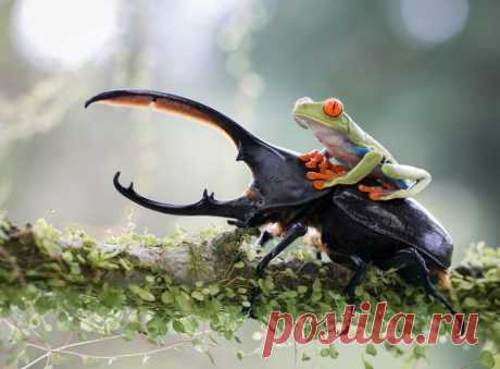 Шедевры, которые не нуждаются в фотошопе / Всё самое лучшее из интернета
