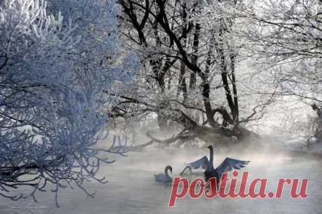 Bigpicture.ru - Фотографии Хроники | Facebook