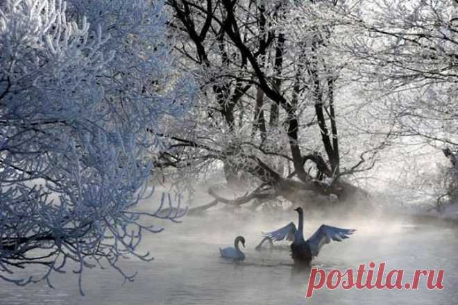 Bigpicture.ru - Фотографии Хроники | Facebook