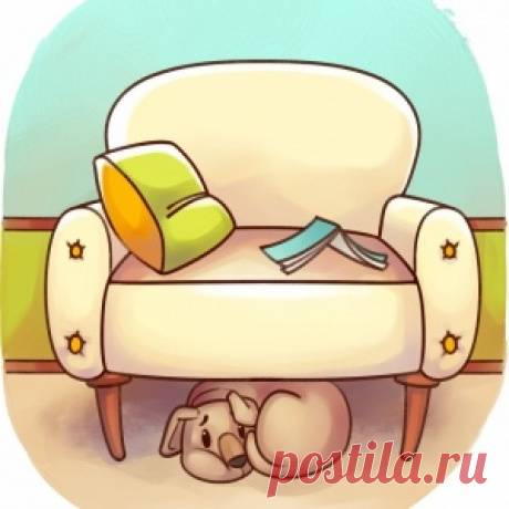 Если ваш питомец делает это, немедленно покажите его врачу