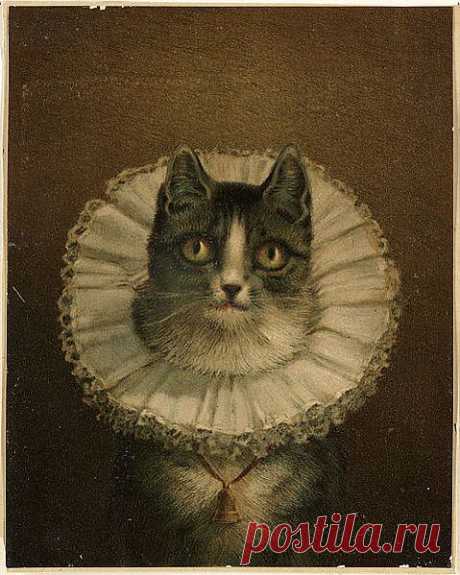 File:The Widow (Boston Public Library).jpg - Wikipedia, the free encyclopedia