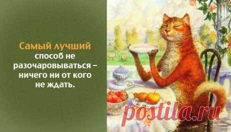 Позитивные советы / Писец - приколы интернета