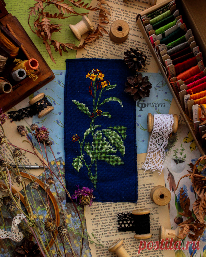 Ботанические схемы. Вышивка крестом | Пелагея Гунякова | Дзен