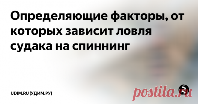 Определяющие факторы, от которых зависит ловля судака на спиннинг Ловля судака на спиннинг в разную пору имеет различия, определяющие предпочтения приманок, тактику ужения, удилище, оснастку. Весной одни рыболовы выходят на берег стразу после появления проталин, другие советуют подождать, пока не проклюнется чакан, свидетельствующий о начале жора рыбы перед нерестом.