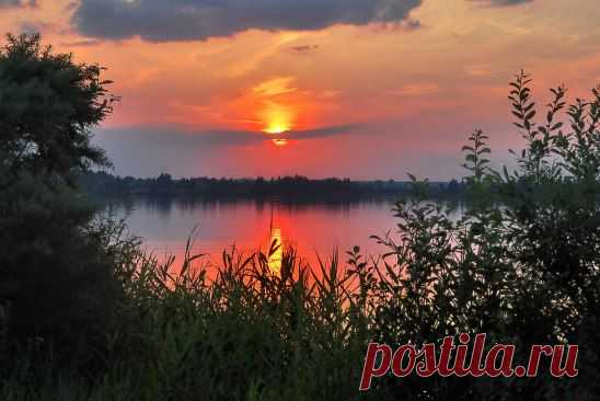 (1) Одноклассники