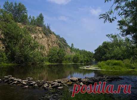 Природа родного края