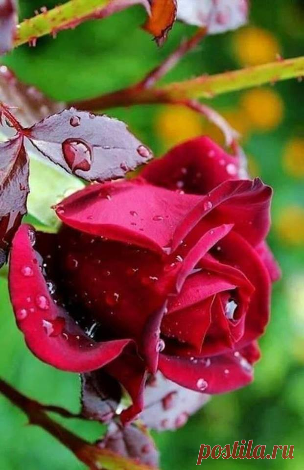 (2) Открытки для друзей