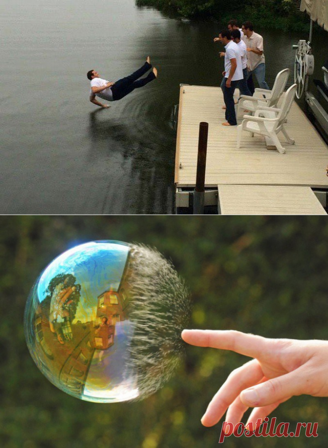 Фото, сделанные в идеальный момент, подобных которым вы никогда не видели: 22 фото, которые запомнятся вам навсегда » хЕХЕ - Развлекательный портал который платит Вам за новости.