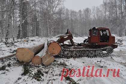 Одобрена продажа японской Iida Group крупнейшей дальневосточной лесной компании. Правительство России одобрило покупку японской Iida Group 75 процентов дальневосточного холдинга RFP Group. Инвестор, являющийся лидером деревянного домостроения на рынке Японии, должен выполнить ряд условий: вложить 150 миллионов долларов в развитие лесопереработки, удвоить переработку и сохранить рабочие места.