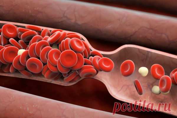 КАКИЕ ПРОДУКТЫ РАЗЖИЖАЮТ КРОВЬ: СПИСОК САМЫХ ЭФФЕКТИВНЫХ | Краше Всех