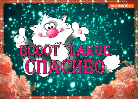 Вот такое вот спасибо