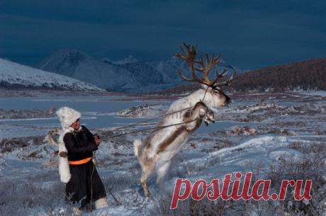 Фотограф исследует жизнь вымирающего монгольского племени кочевых оленеводов, которые все еще верят в духов и шаманов