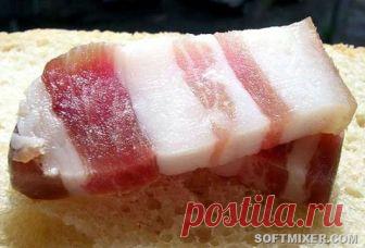 Любопытные факты и мифы о сале — Только самое интересное