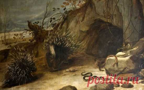 Художник Franz Snyders (1579 – 1657). Великолепный фламандец