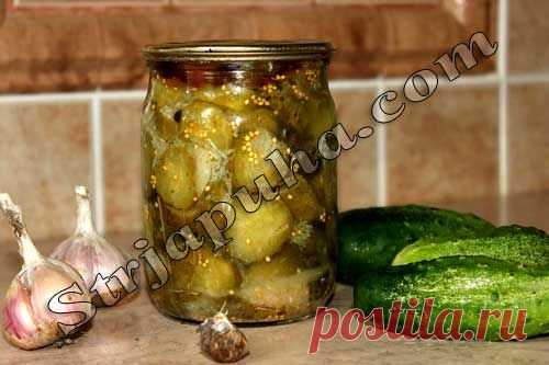 Огурцы кружочками острые маринованные в банках