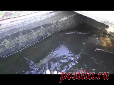 Об укрытии клубники на зиму