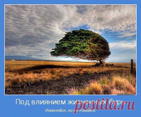 (60) Одноклассники