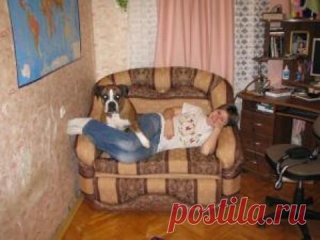 Чехлы для дивана и кресел - Клуб Сезон