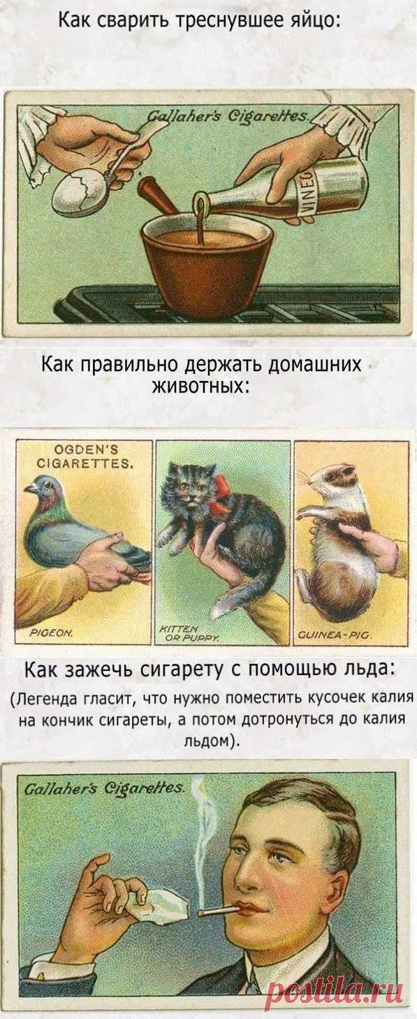 Столетние лайфхаки (подборка) / Surfingbird - все, что интересно тебе