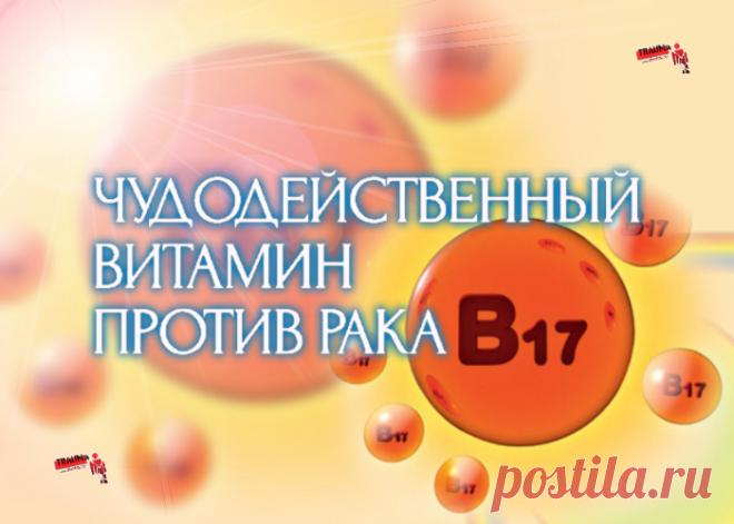 Многих волнует вопрос, можно ли излечить онкологию? Оказывается, природа уже давно придумала за нас эффективное лекарство от этого страшного недуга - чудодейственный витамин В17 (лаэтрил, или амигдалин). Почему именно этот витамин излечивает от рака и каков механизм его действия, мы и поговорим