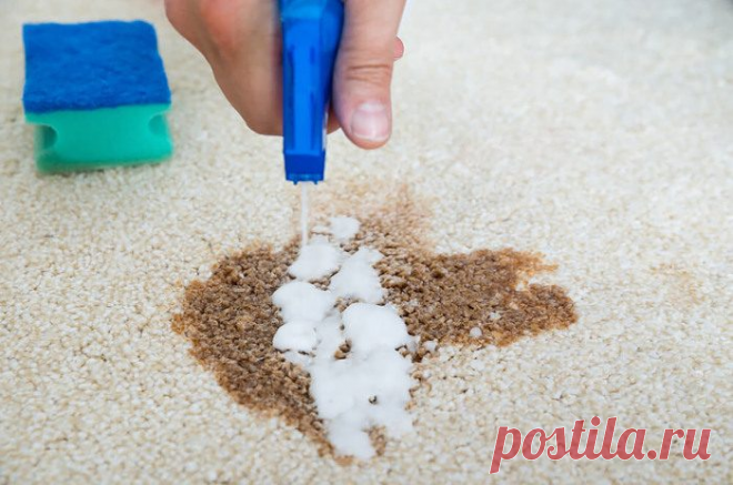 О чистке ковров