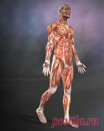 Техника «Распускание панцирей» Вильгельма Райха