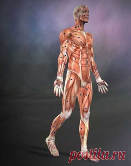 Техника «Распускание панцирей» Вильгельма Райха