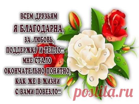 Жми Класс чтоб и ваши друзья увидели эти красивые цветы!