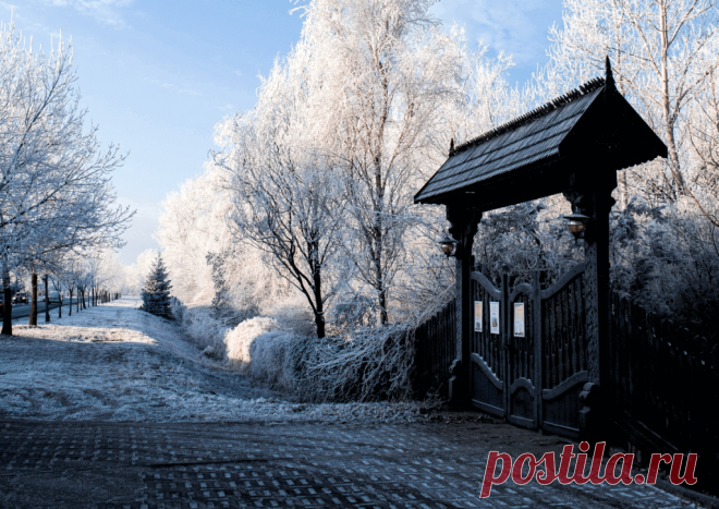 Календарь сезонных работ в саду: декабрь - Planetalsad